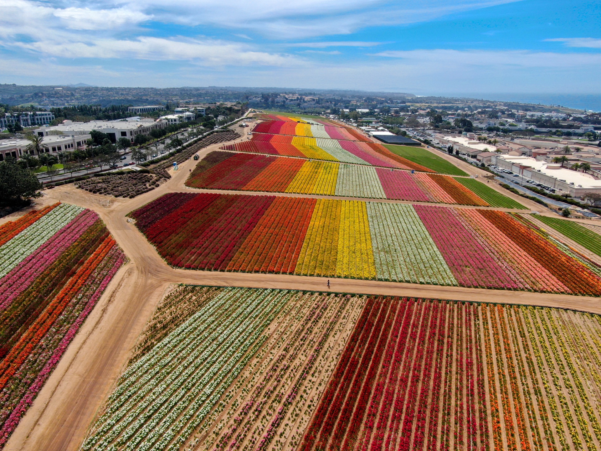 Carlsbad Townhomes — Carlsbad, California